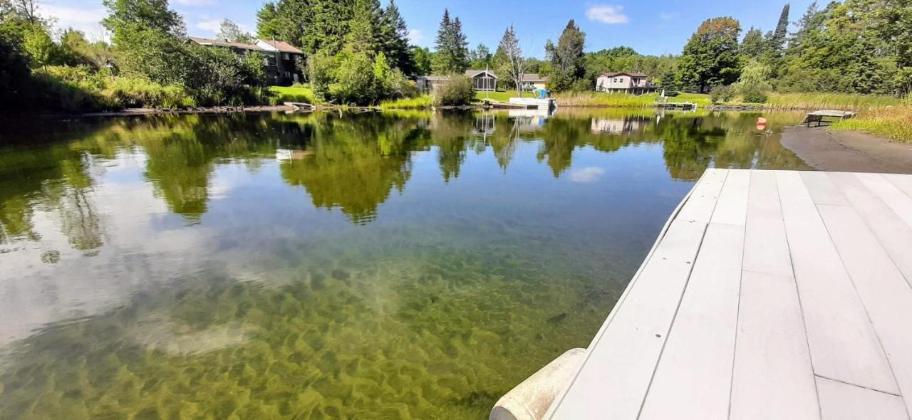 Beautiful 3 Bdrm + Bunkie Waterfront Cottage Near Gull Lake Minden Exterior photo